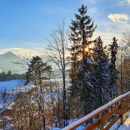 Haus Steger Zu Stein *