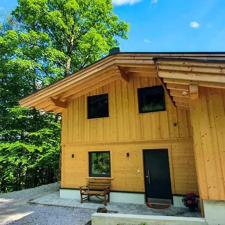 Haus Steger Zu Stein 公寓 *