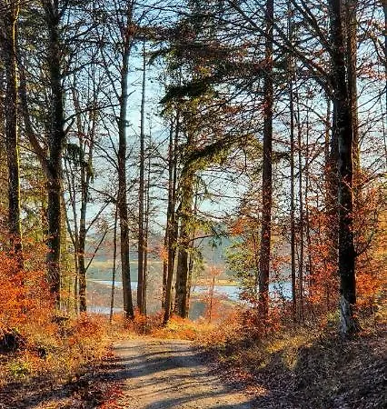Apartmán Haus Steger Zu Stein *