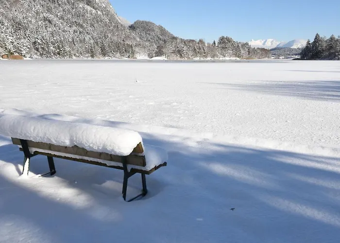 Haus Steger Zu Stein *