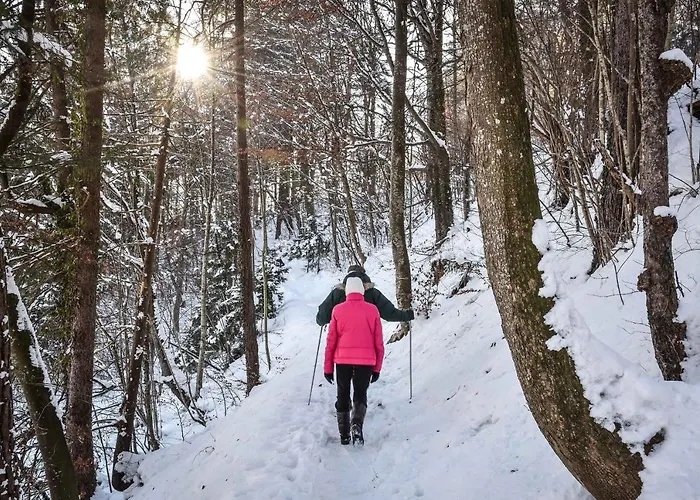 Haus Steger Zu Stein Apartament