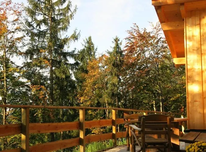 Haus Steger Zu Stein