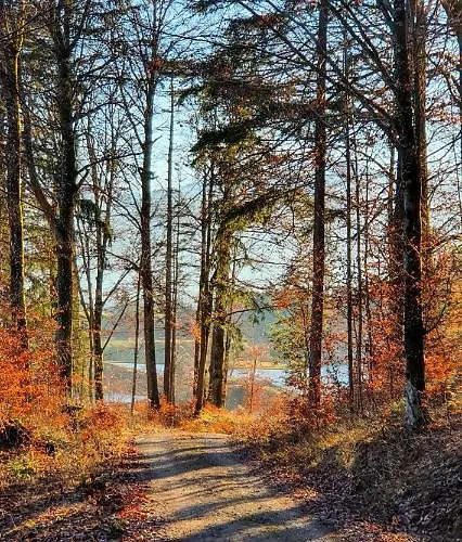 Apartament Haus Steger Zu Stein *