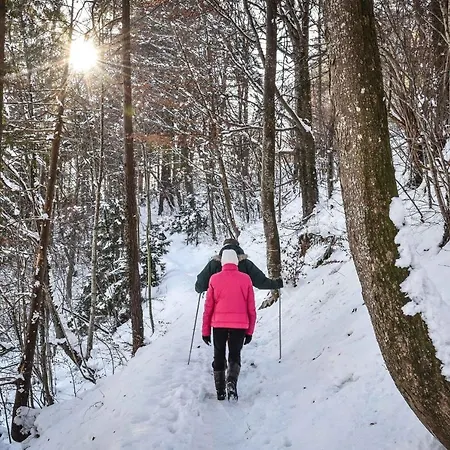 Haus Steger Zu Stein Apartamento