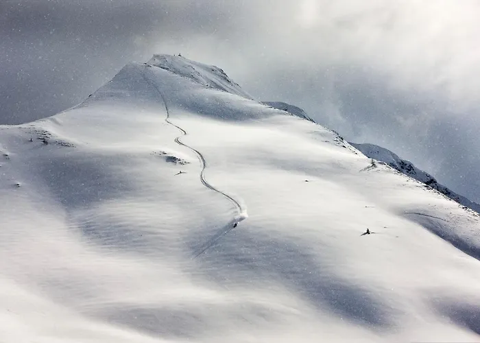 Haus Steger Zu Stein