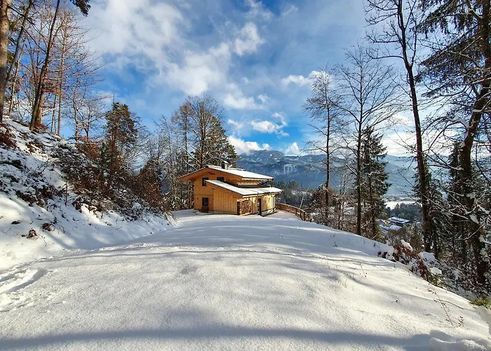 Haus Steger Zu Stein *