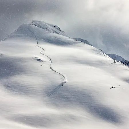 Haus Steger Zu Stein